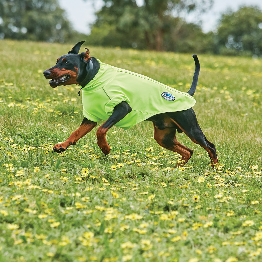 Weatherbeeta Comfitec Active Dog Coat