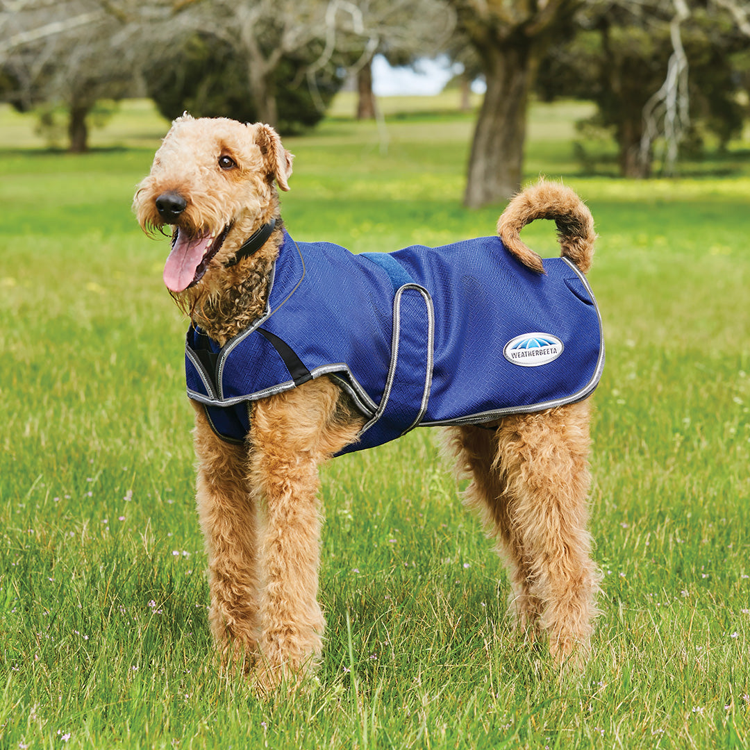 Weatherbeeta Comfitec Premier Free Duo Deluxe Parka Dog Coat
