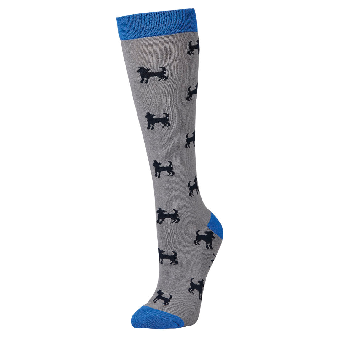 Dublin Patterned Riding Socks - Single Pack