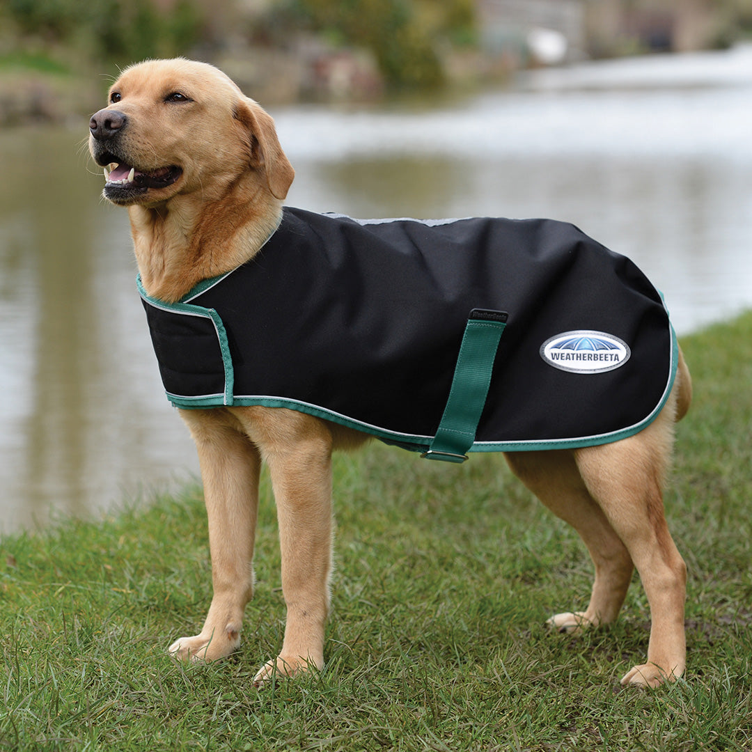 Weatherbeeta Green-Tec 900D Dog Coat Medium