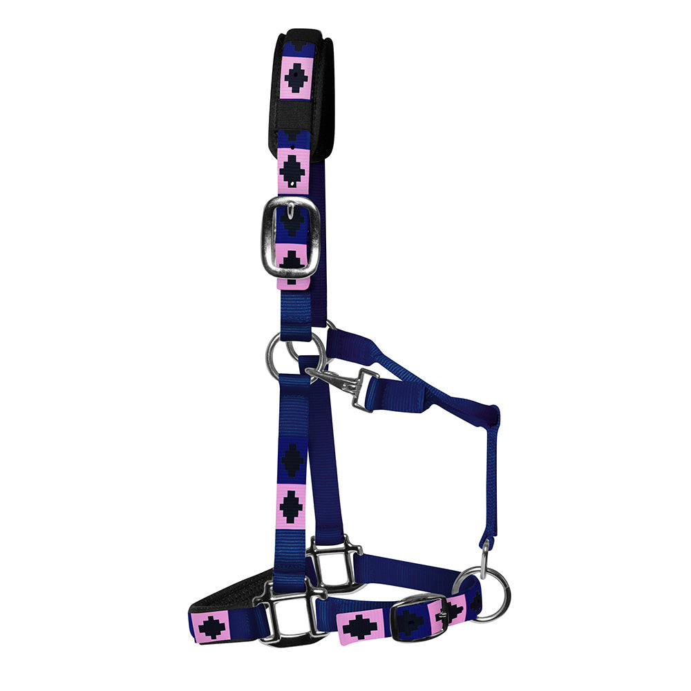 Argentinian Style Headcollar