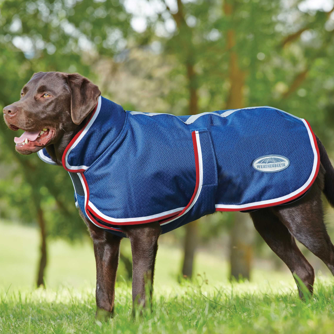 Weatherbeeta Parka 1200D Deluxe Dog Coat