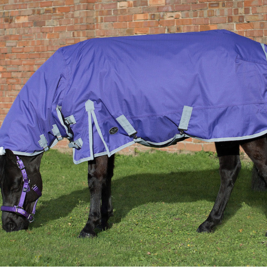 Mark Todd Mediumweight Pony Turnout Combo Rug