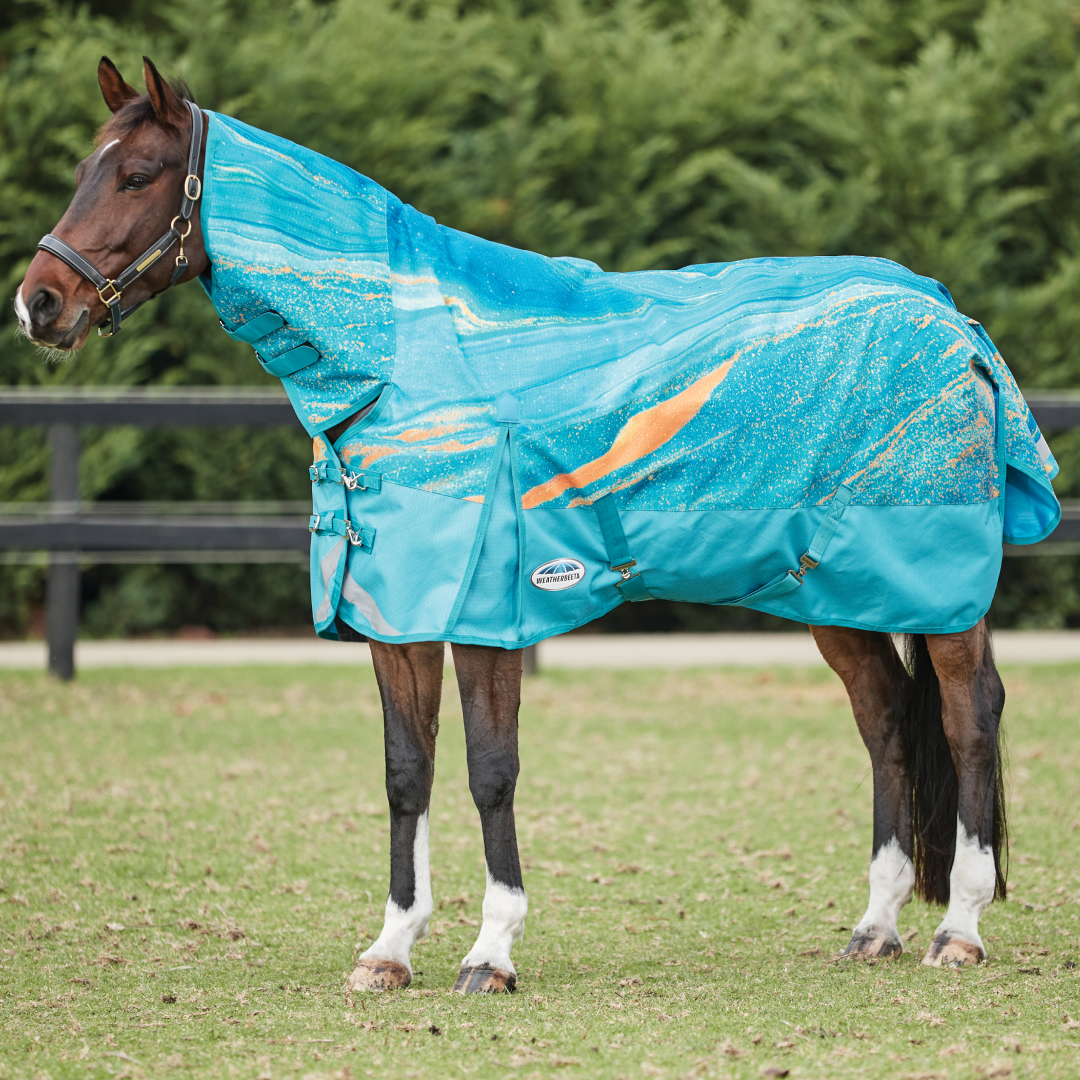 Weatherbeeta Comfitec Plus Dynamic II Combo Neck Lite
