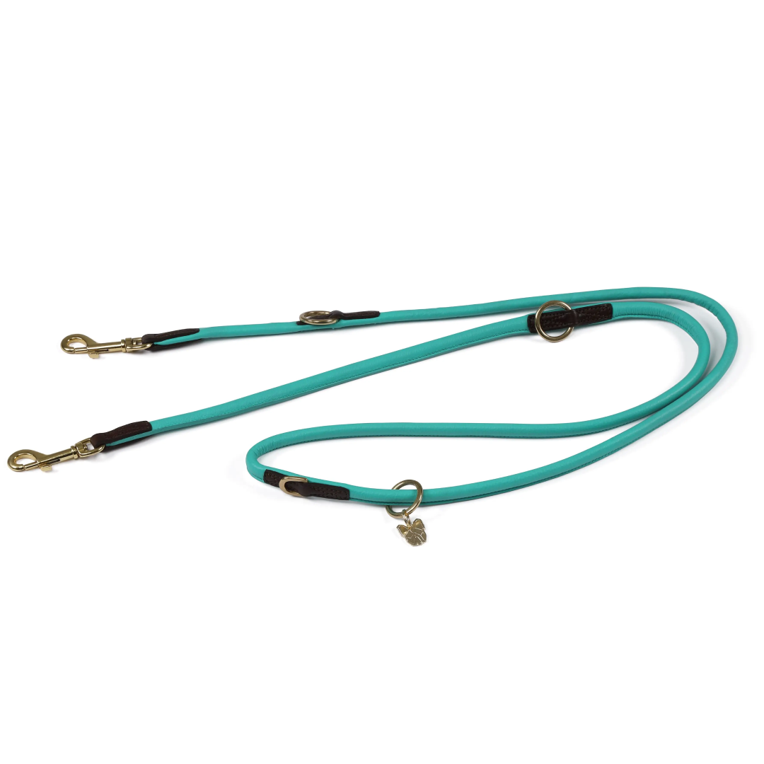 Shires Digby & Fox Rolled Leather Training Lead
