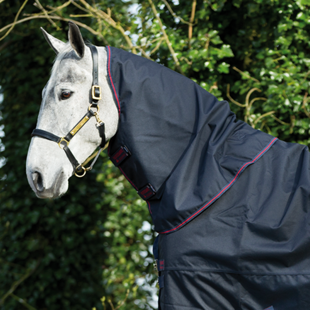 Horseware Ireland Amigo XL Neck Cover 150g AARGN2