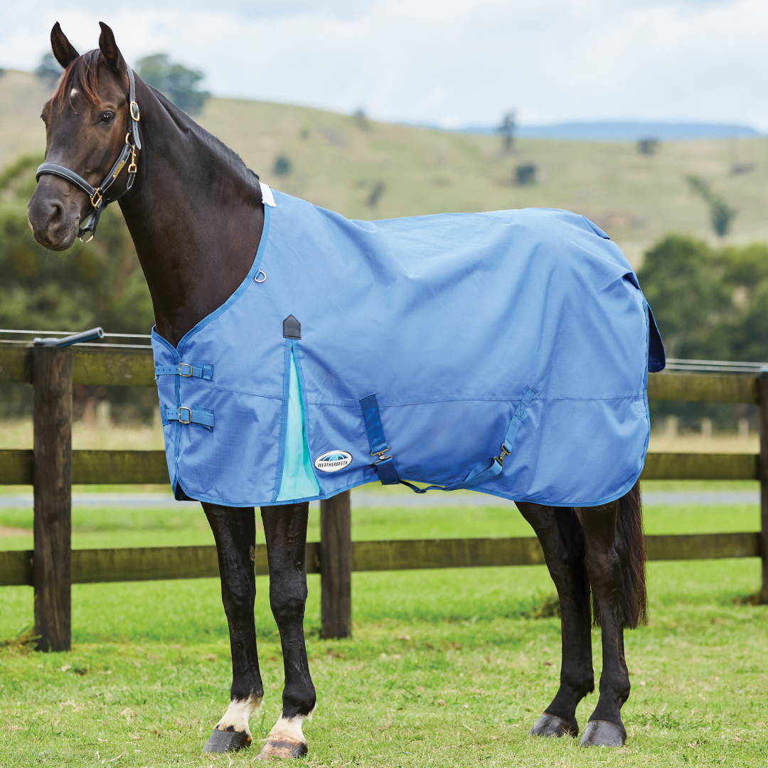 Weatherbeeta Comfitec Classic Standard Neck Lite Rug