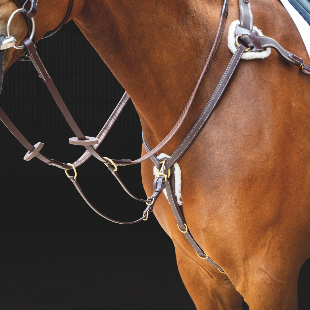 SHIRES SALISBURY 5 POINTA PARTILLA