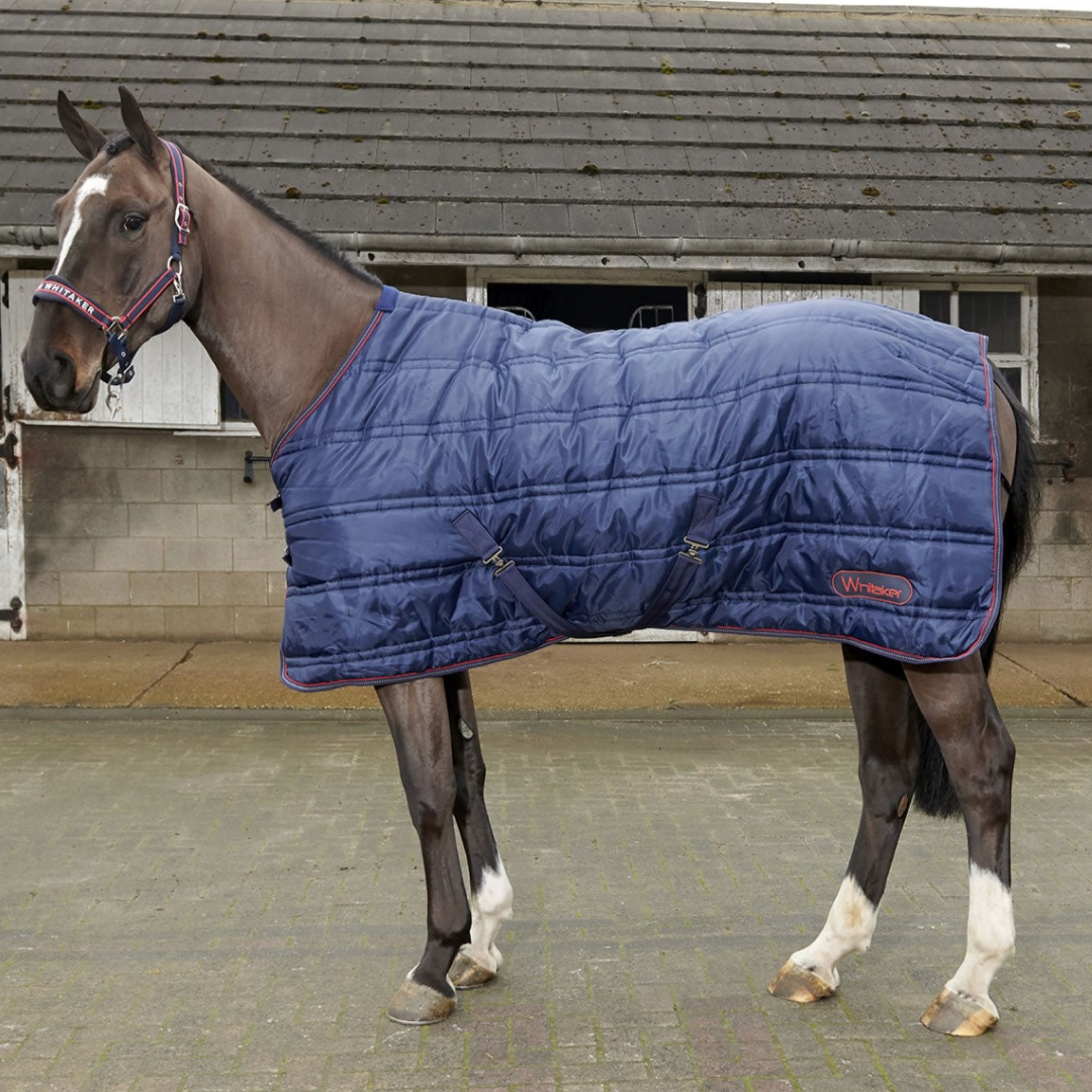 Whitaker Rastrick Stable Rug 200g