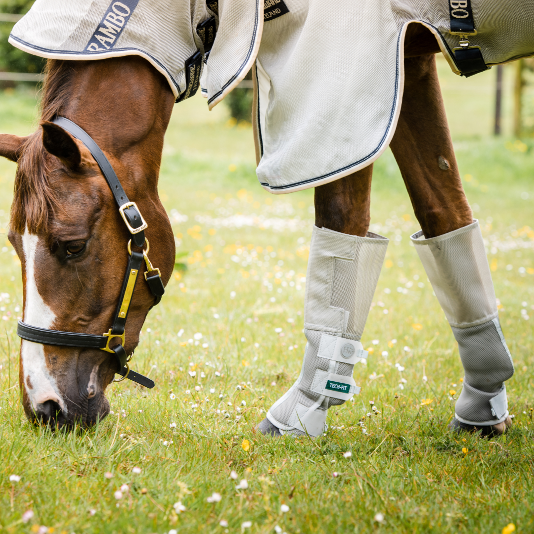 Horseware Ireland Rambo Tech-Fit Flyboot