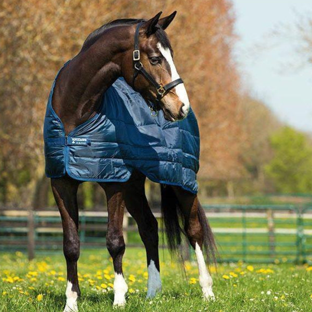 Horseware Irlanda Liner 200g