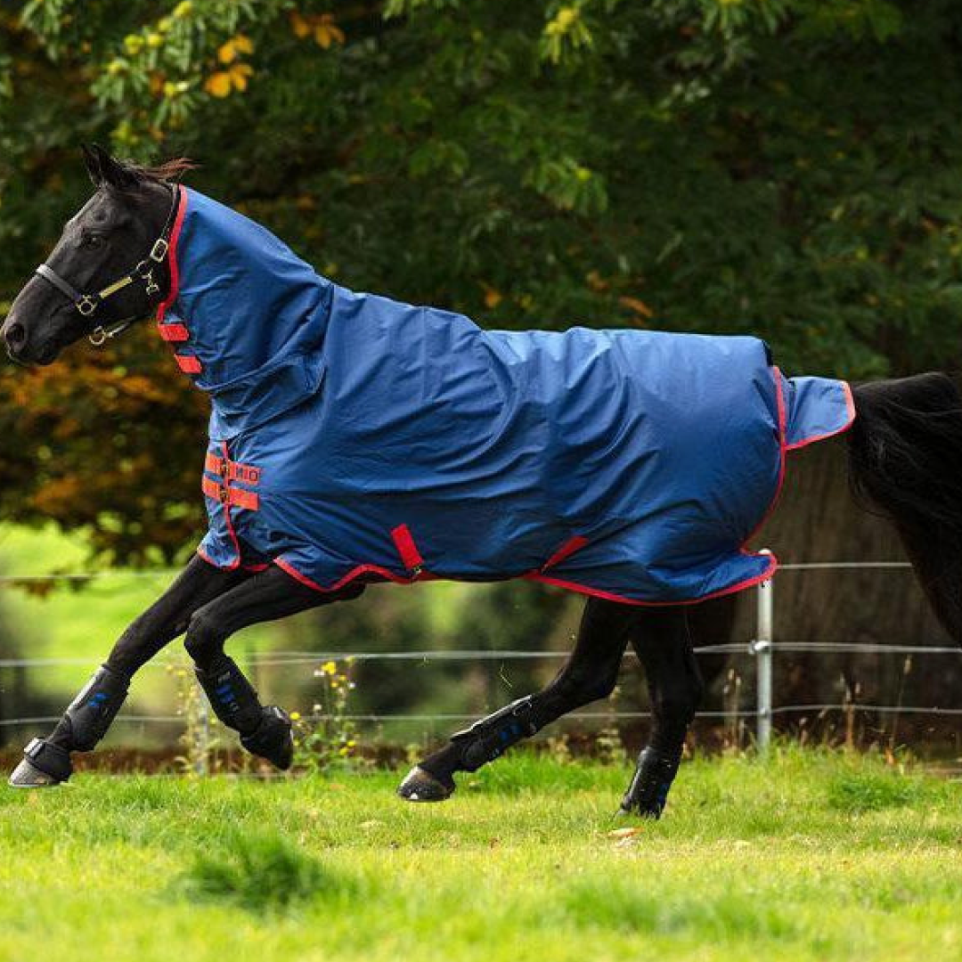 Horseware Ireland Mio All in One Turnout Rug Heavy 350g