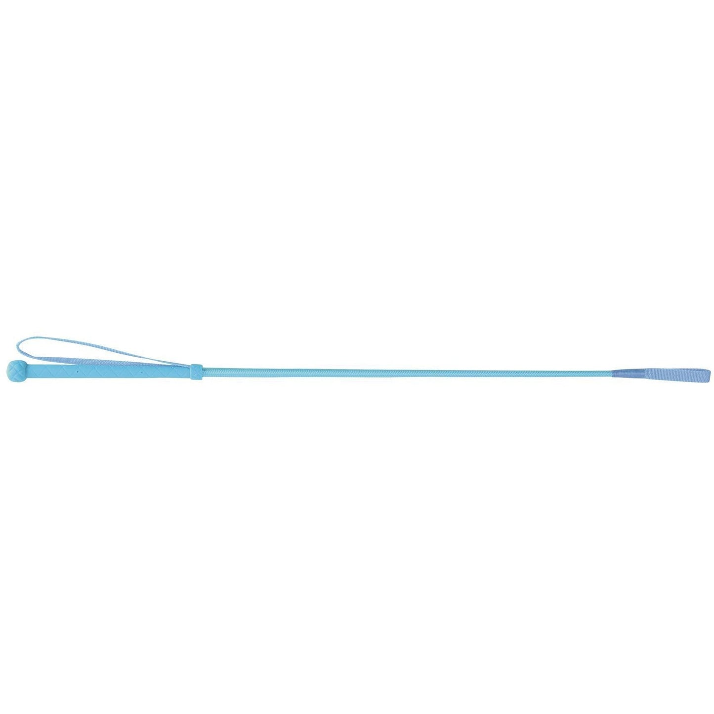HySCHOOL Bright Riding Whip 24"
