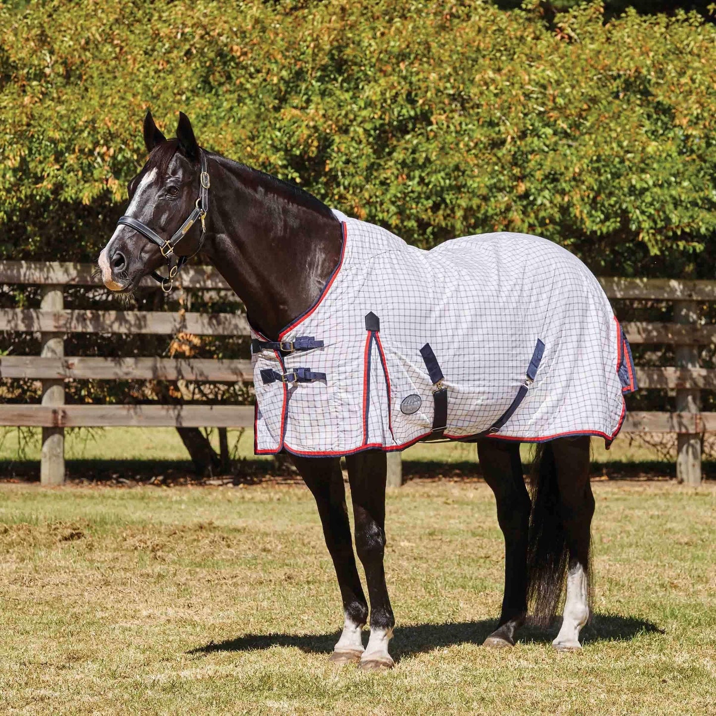 Weatherbeeta Summer Sheet Lite III Standard Neck