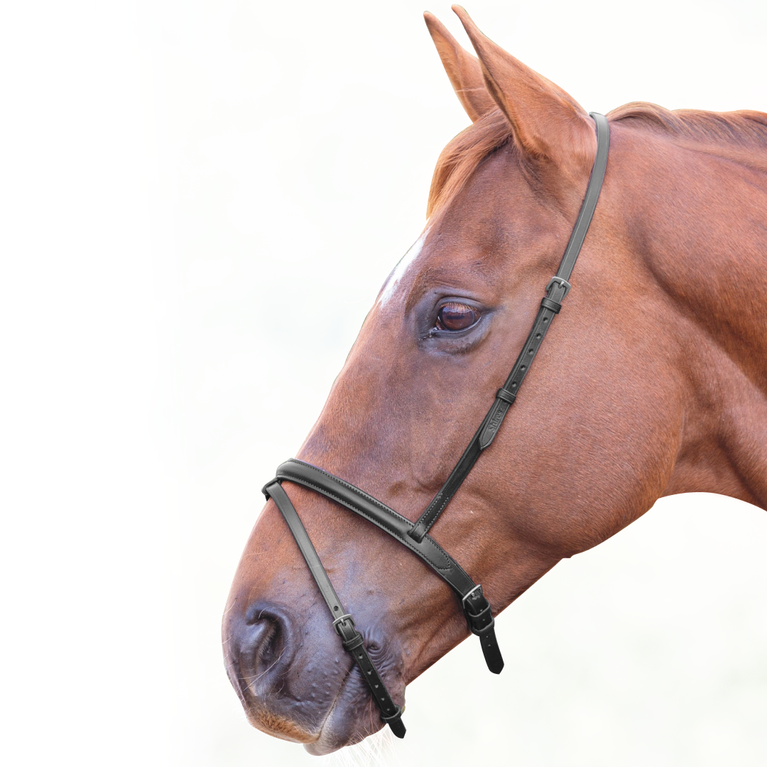 SHIRES Velociti Gara Flash Banda