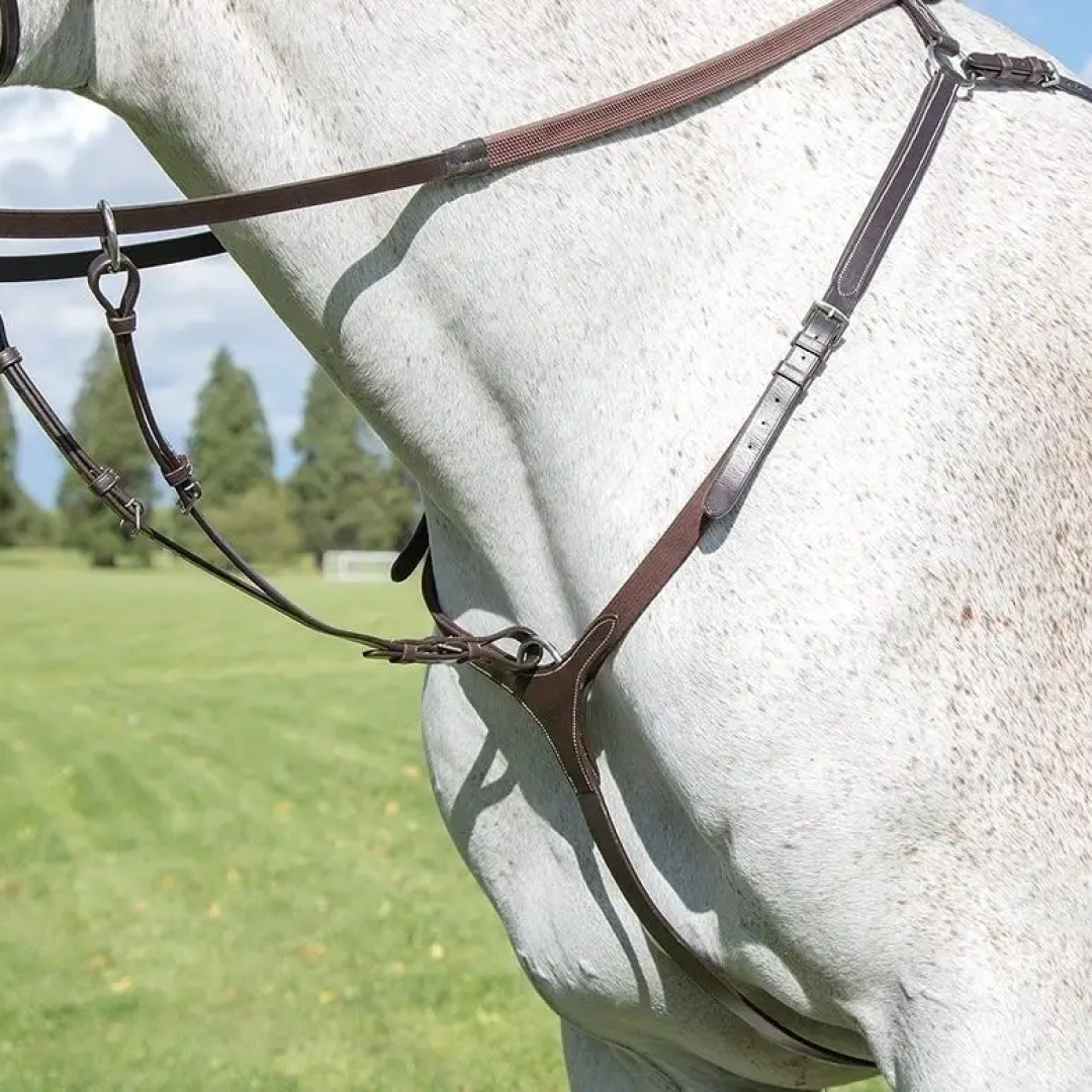 Shires Avignon 3-Point Breastplate