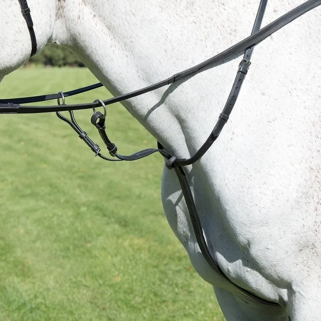 Shires Avignon Running Martingale