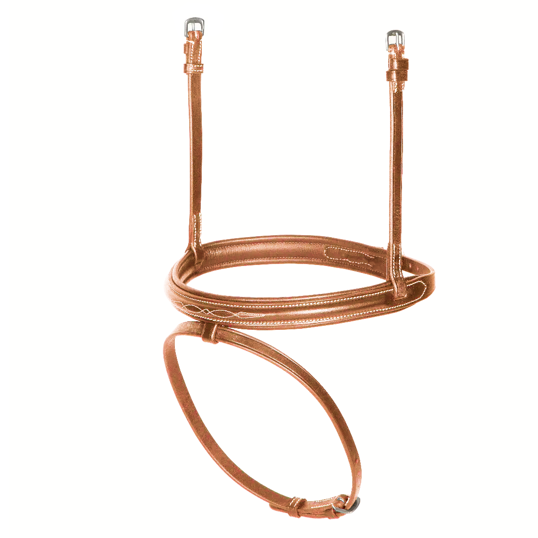 Shires Avignon Padded Raised Flash Noseband