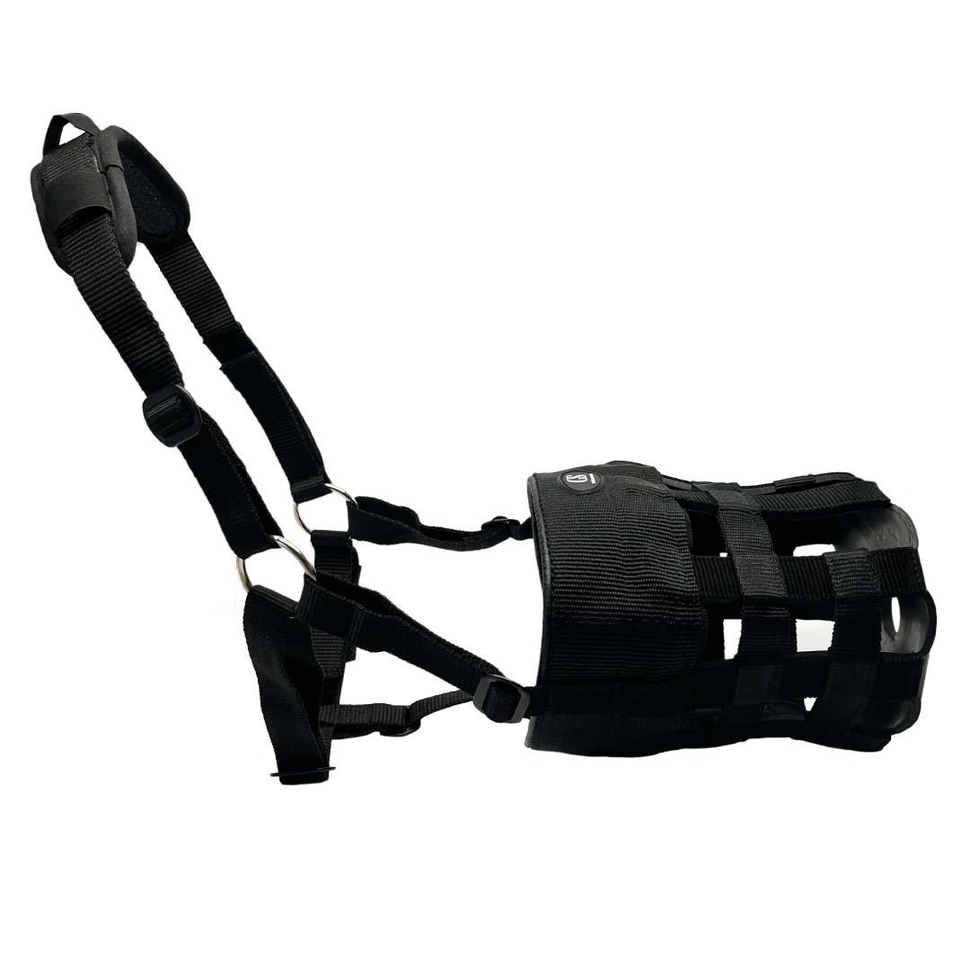 GS Equestrian Grazing Muzzle