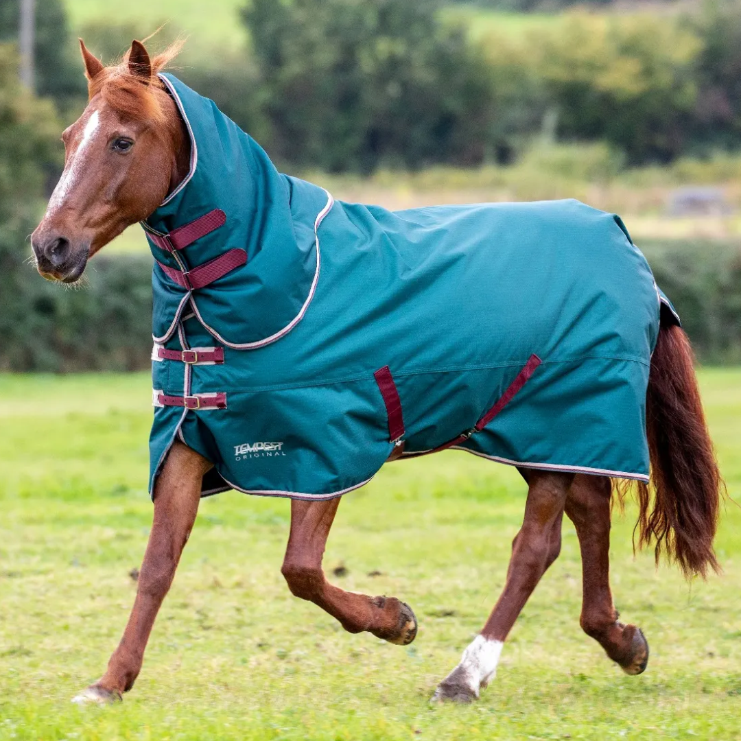 Shires Tempest Original 200g Turnout Rug & Neck