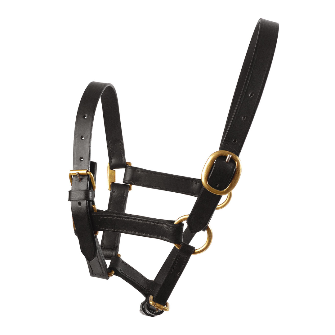Hy Leather Foal Head Collar