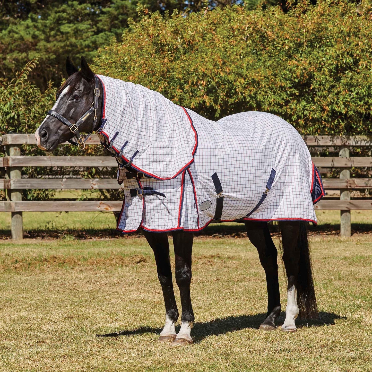 Weatherbeeta Summer Sheet Lite III Combo