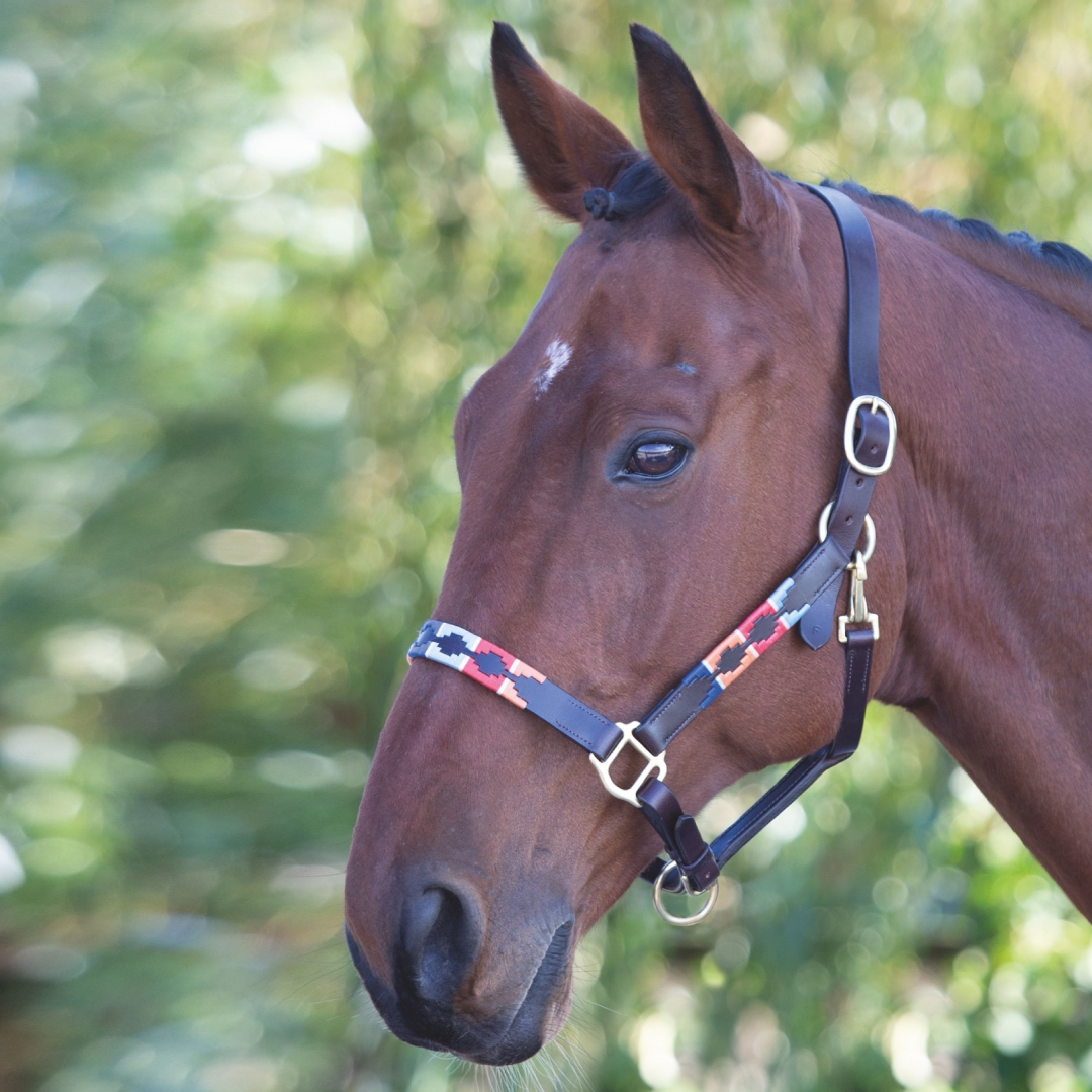 Shires Velociti GARA Leather Polo Headcollar