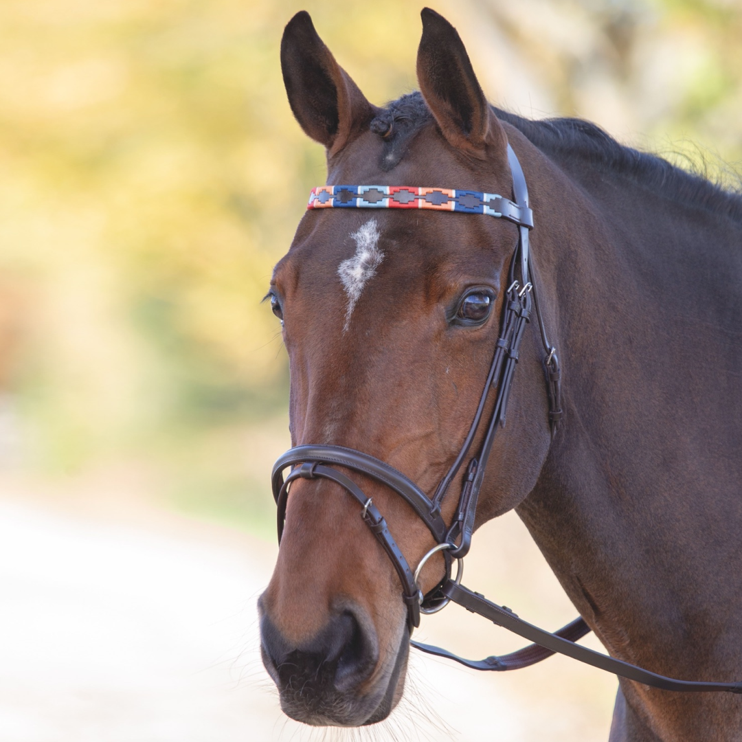Shires Velociti GARA Leather Polo Browband