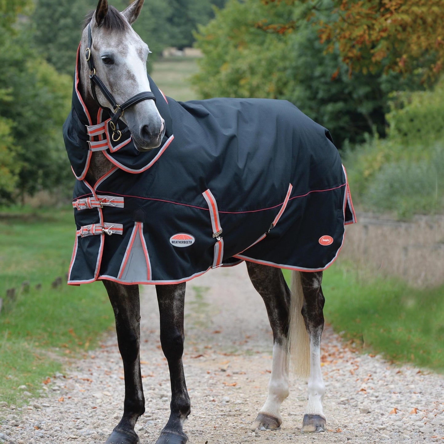 Weatherbeeta Comfitec Premier With Therapy-Tec Detach-A-Neck Medium