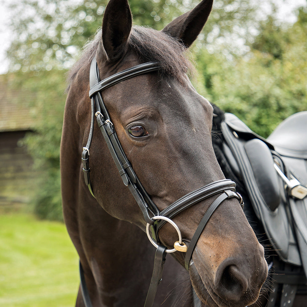 KM Elite Competition Bridle