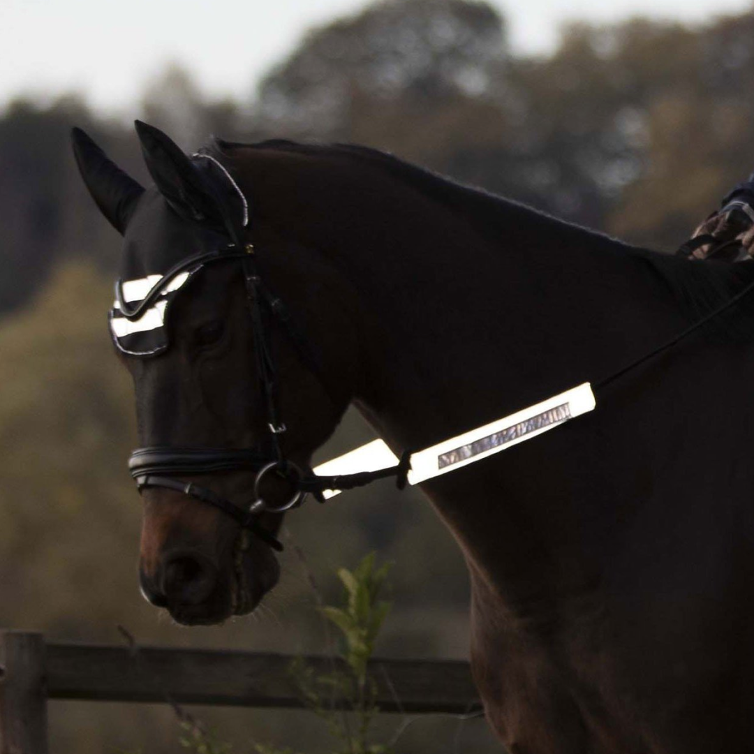 Waldhausen Reflex Bridle Set