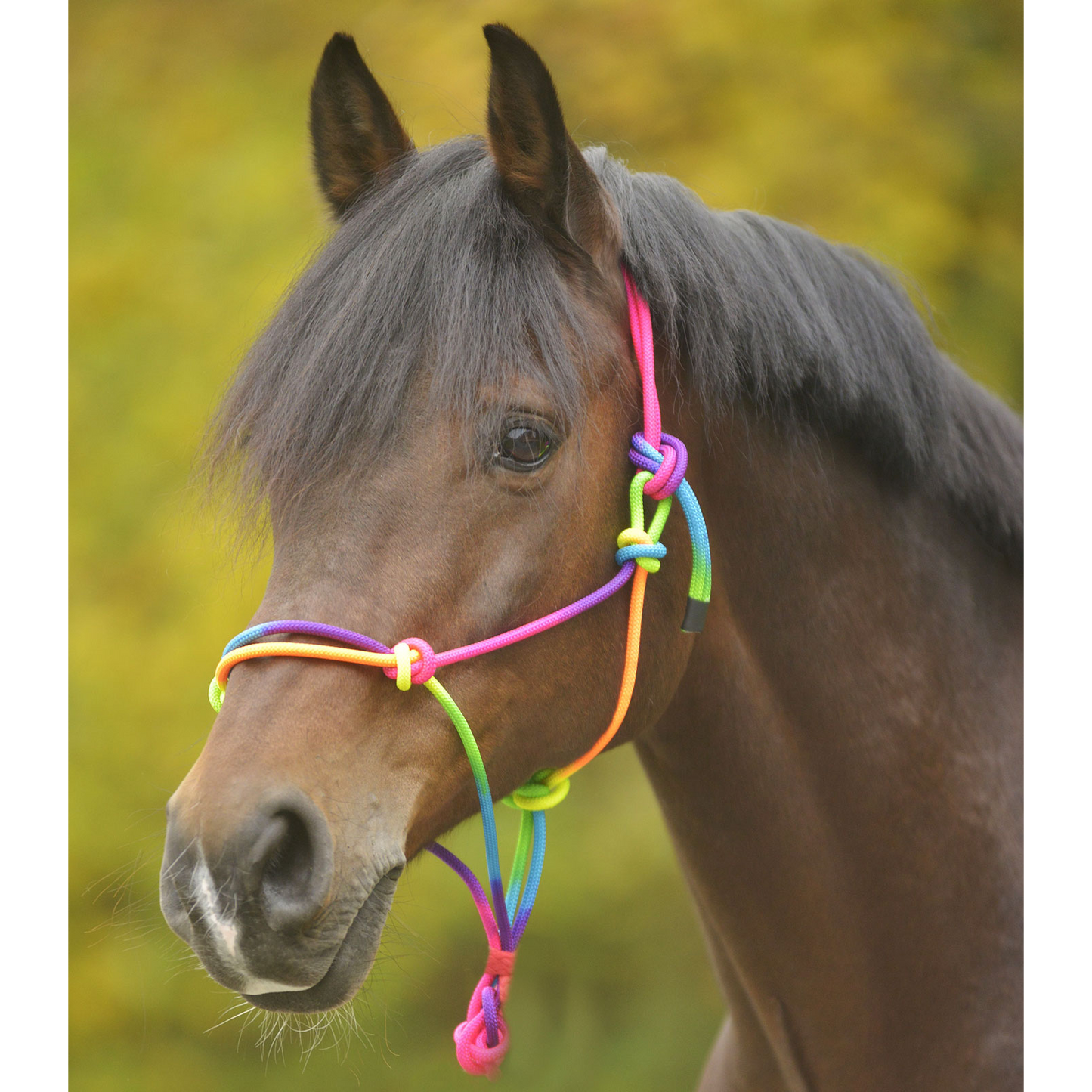 Waldhausen Paretti Rope Halter