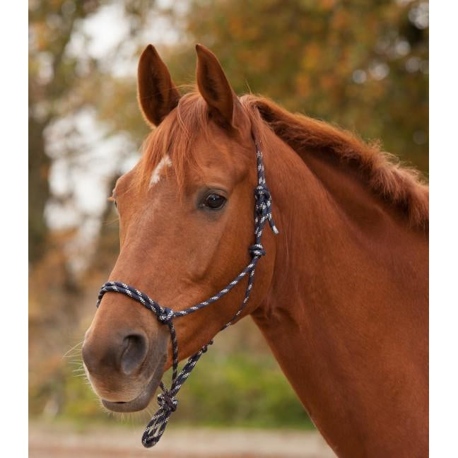 Waldhausen Knotted Halter