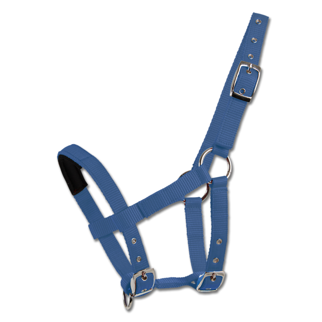 Waldhausen Halter for Mini Shetty