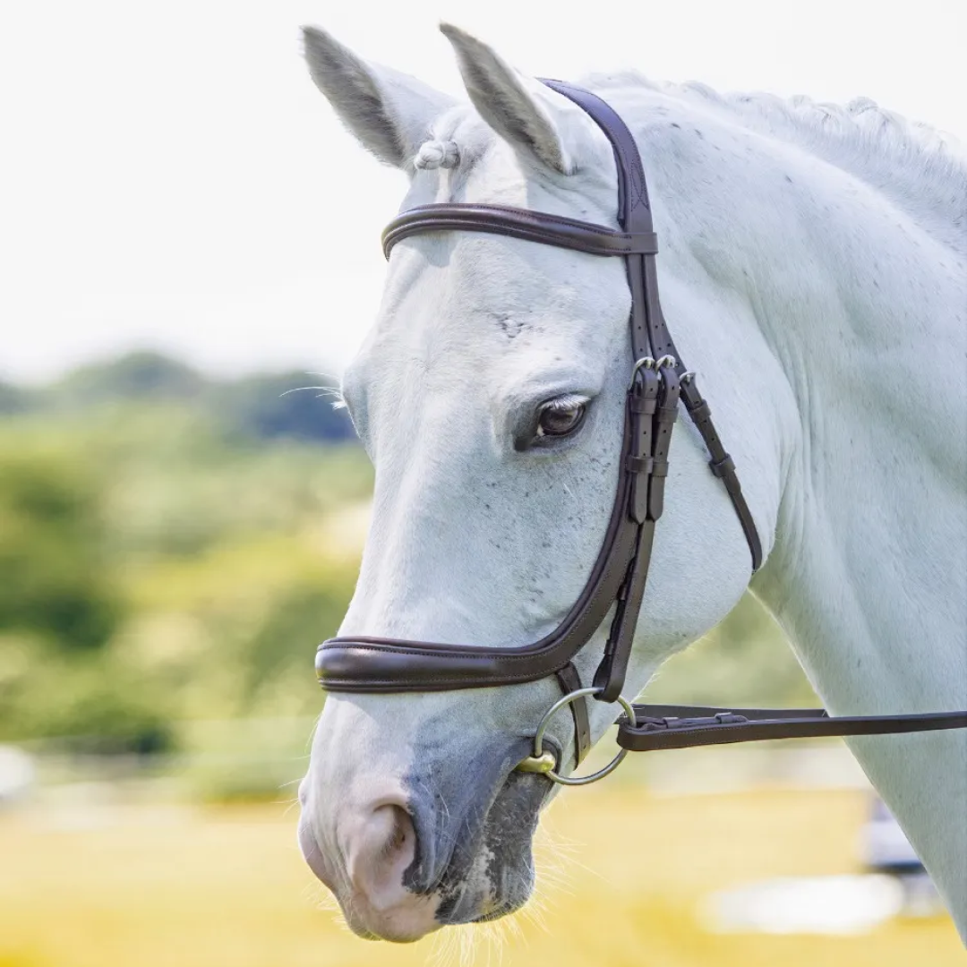 Shires Velociti RAPIDA Ergonomic Curved Cavesson Bridle