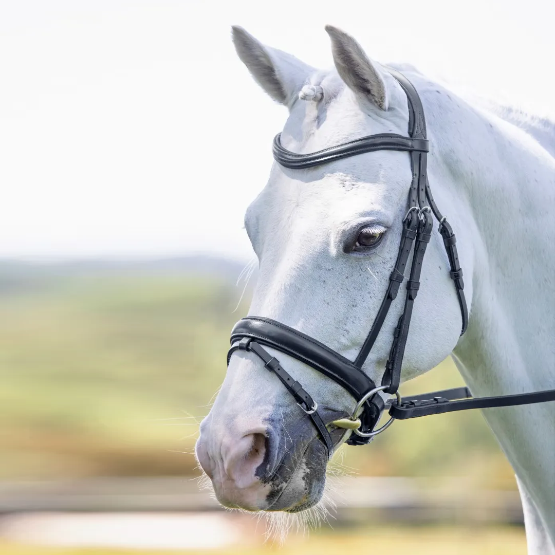 Shires Velociti RAPIDA Dressage Flash Bridle