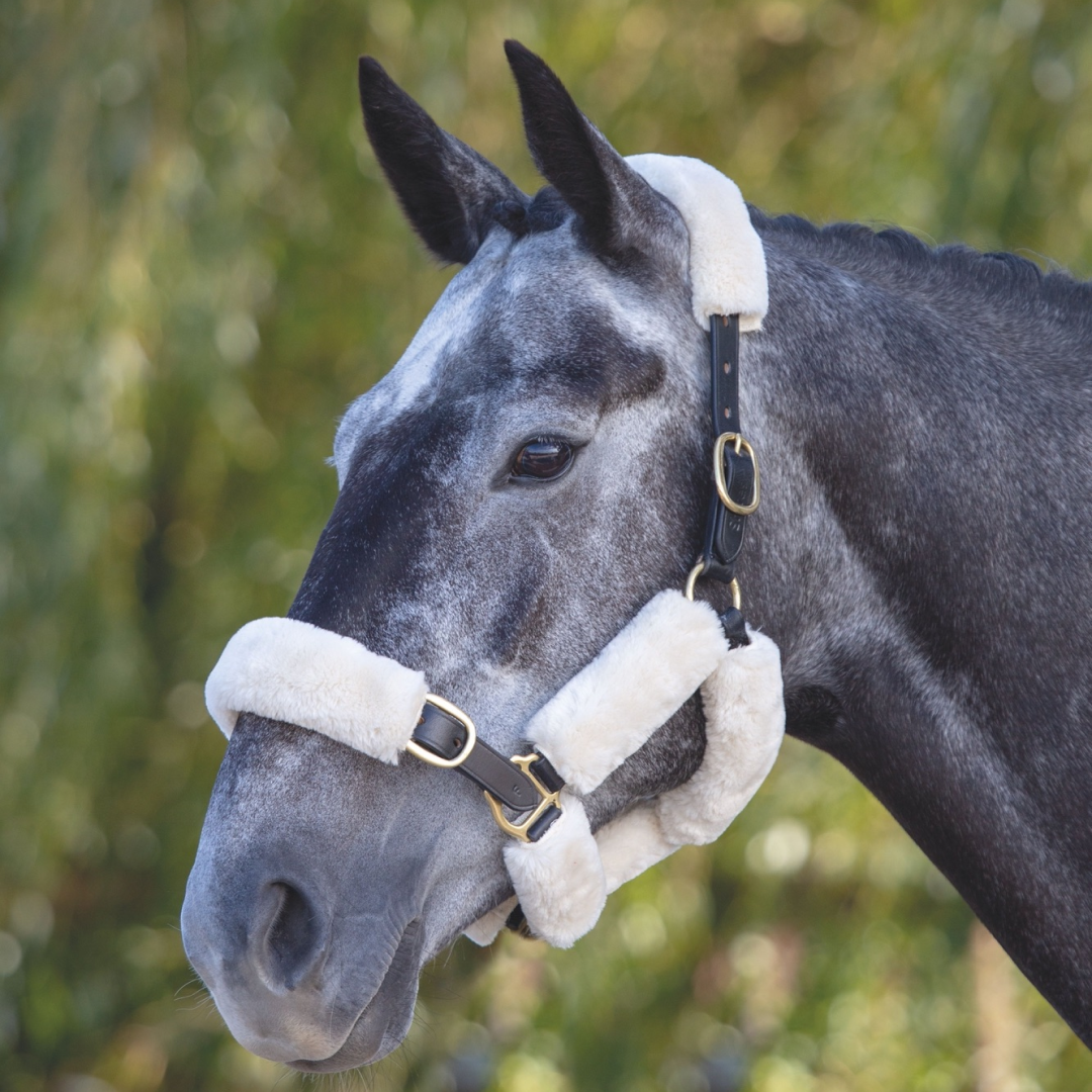 Shires ARMA SupaFleece Halter Sleeves