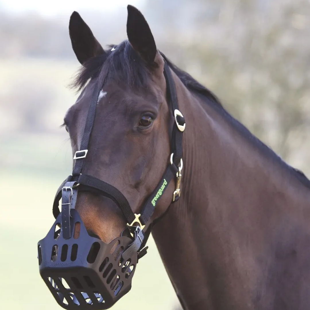 Shires Greenguard Headcollar