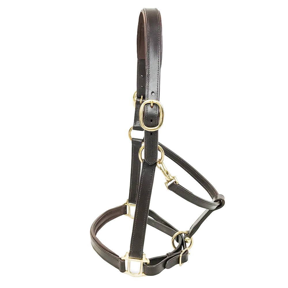 Primera Padded Leather Headcollar