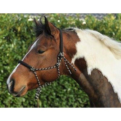 Halter HKM Halter acolchado en la nariz y el cuello del cuello 1400