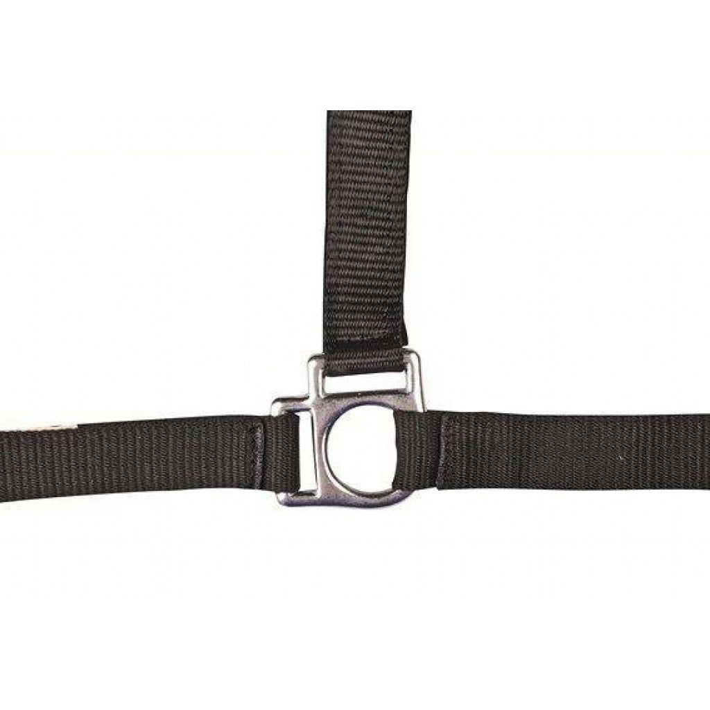 HKM Head Collar -Stars- with Soft Padding