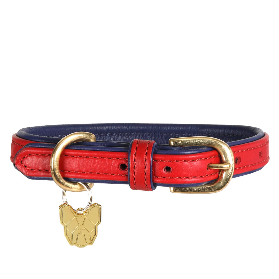 Shires Digby & Fox Padded Leather Dog Collar