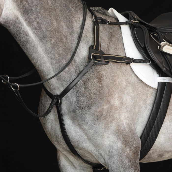 Collegiate 5-Point Breastplate