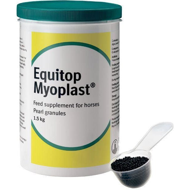 Equitop Myoplast for Horses