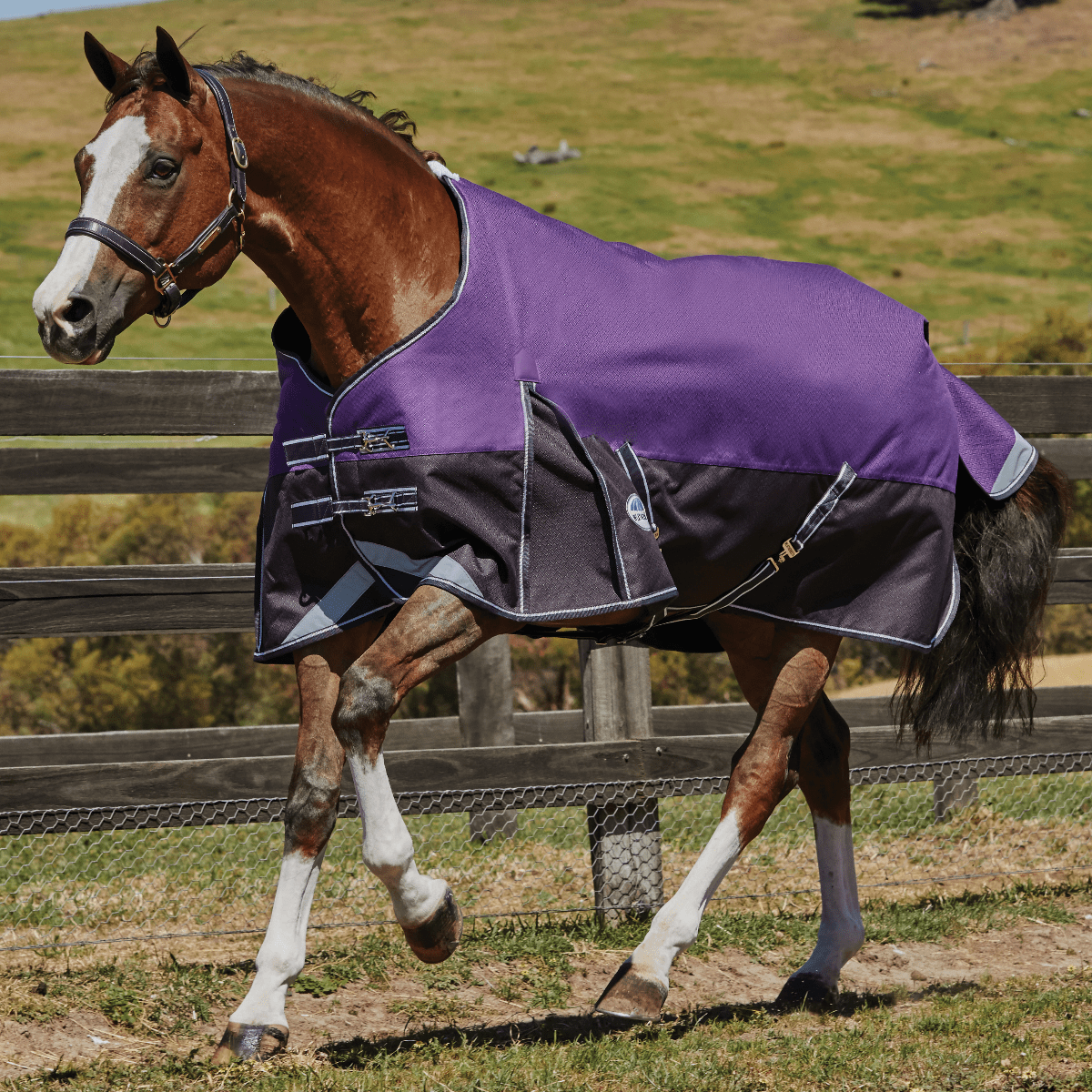 Weatherbeeta Comfitec Plus Dynamic Standard Neck Medium Lite