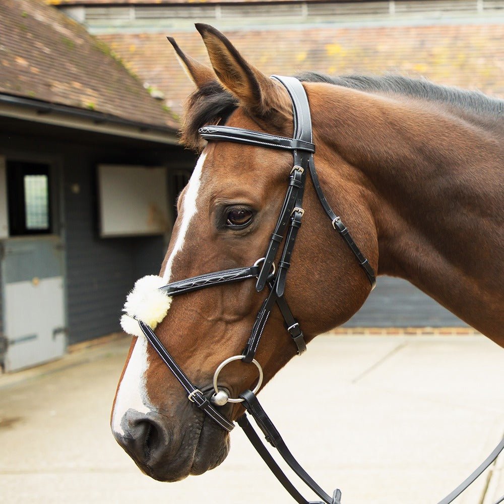 KM Elite Leather Grackle Bridle