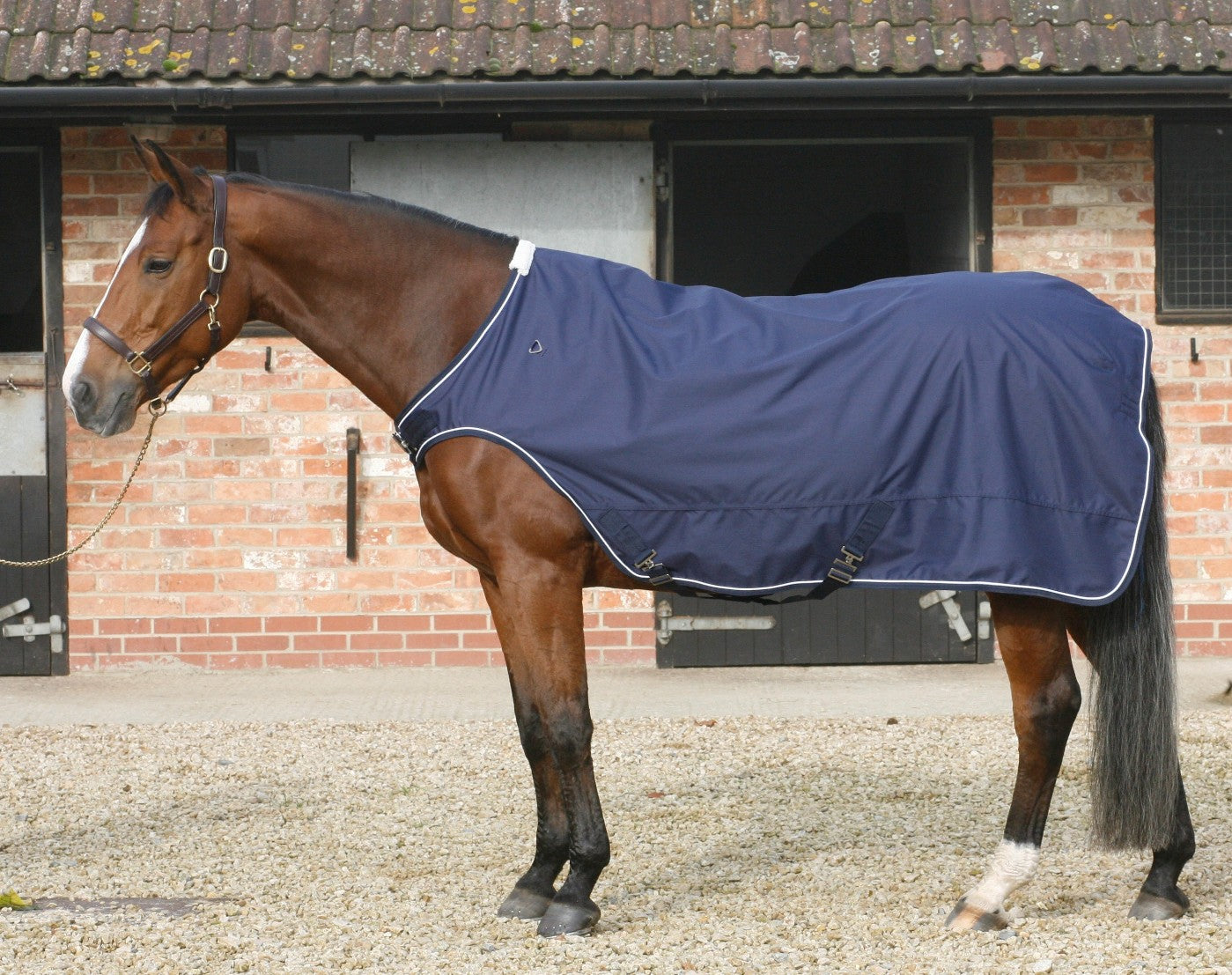 Mark Todd Horse Walker Rug
