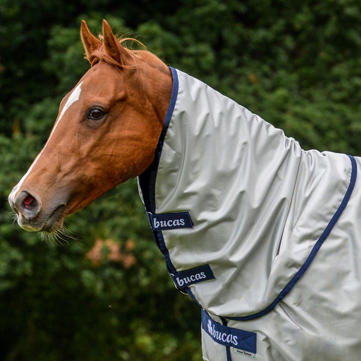 Bucas Power Turnout Combi Neck Sun Reflective Outer