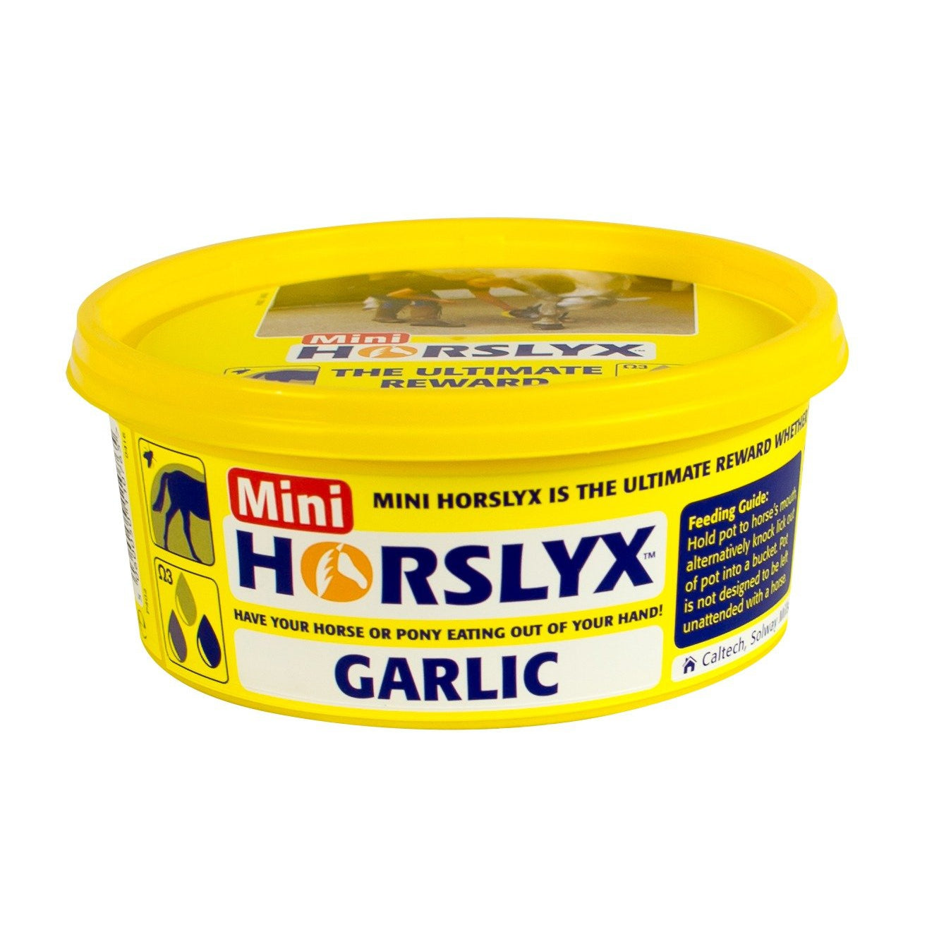 Horslyx Garlic Balancer Lick