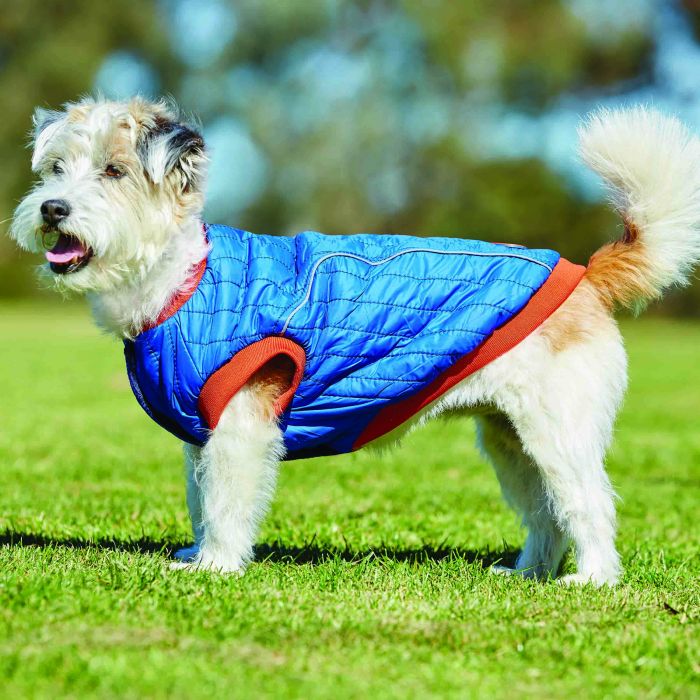 Weatherbeeta Puffer Dog Coat